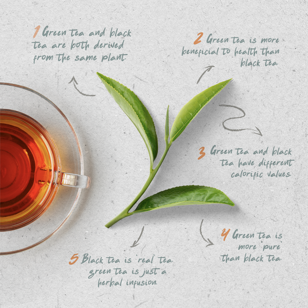 Weight Management with Green Tea