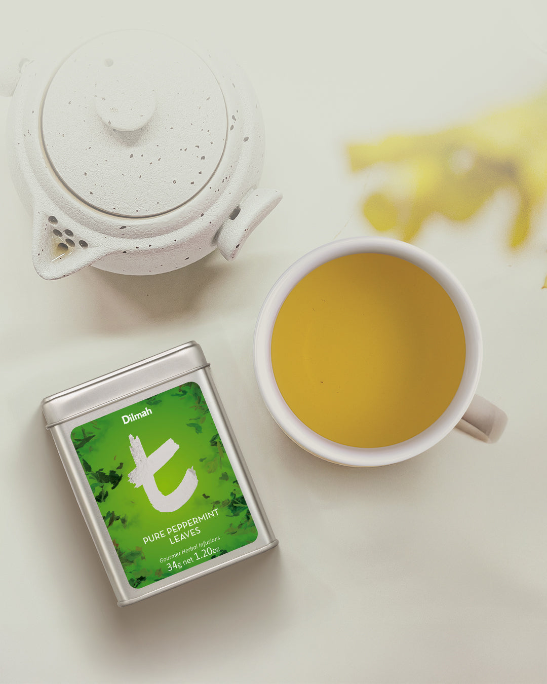 Best t-Series Green Tea for a Daily Wellness Ritual in the US