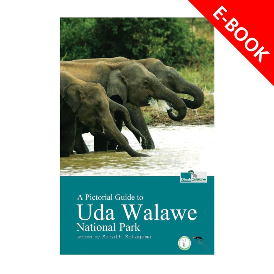A Pictorial Guide to Uda Walawe National Park – eBook