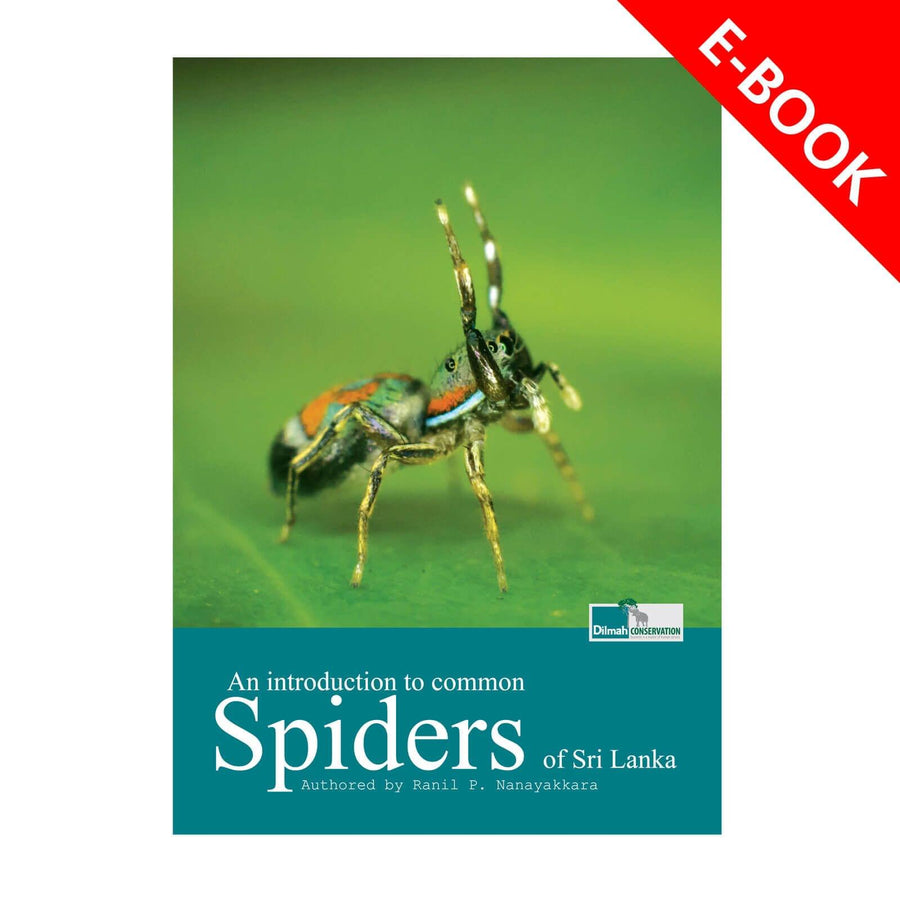 Common Spiders of Sri Lanka – Illustrated Wildlife Guide eBook
