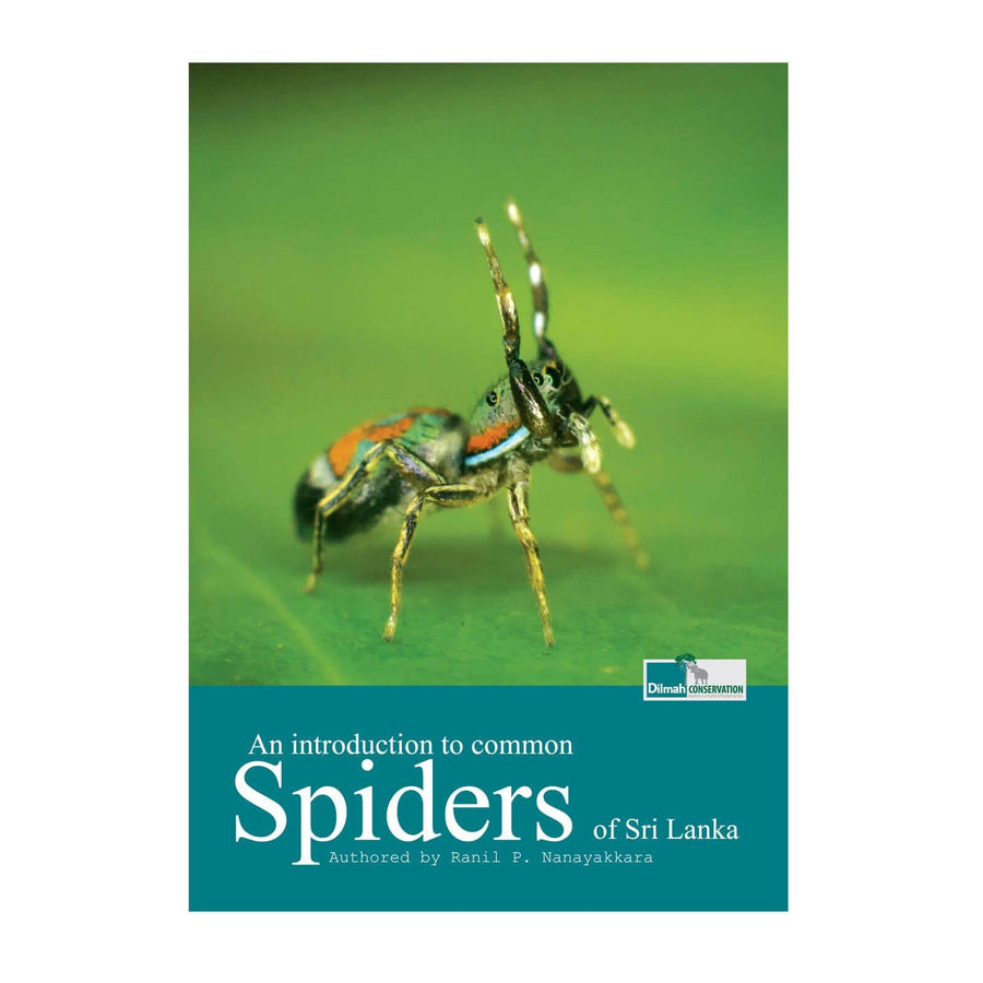 An Introduction to Common Spiders of Sri Lanka – Book
