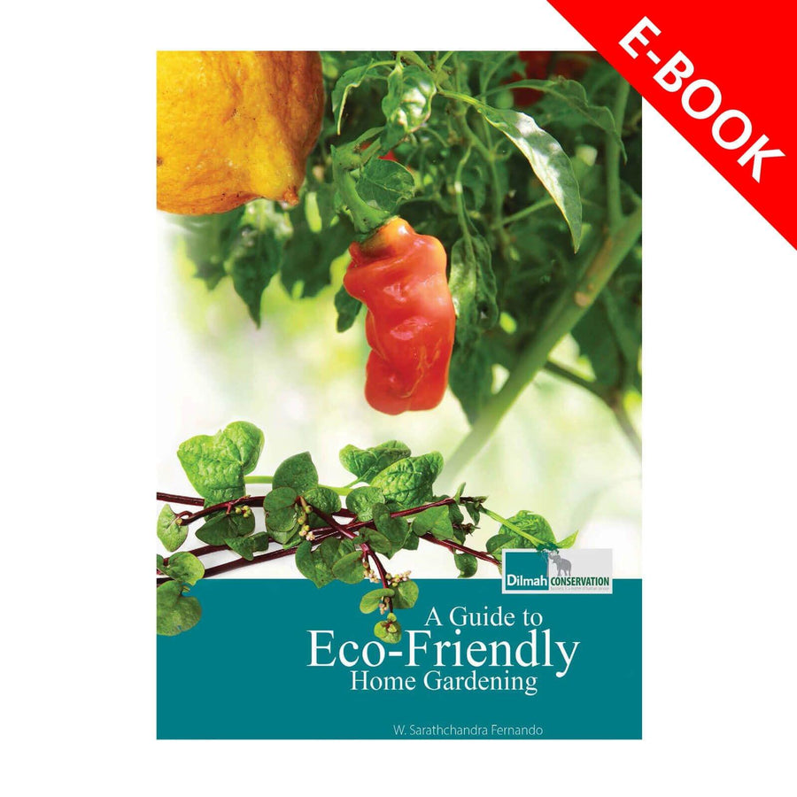 Eco-Friendly Home Gardening Guide – Sustainable Living eBook