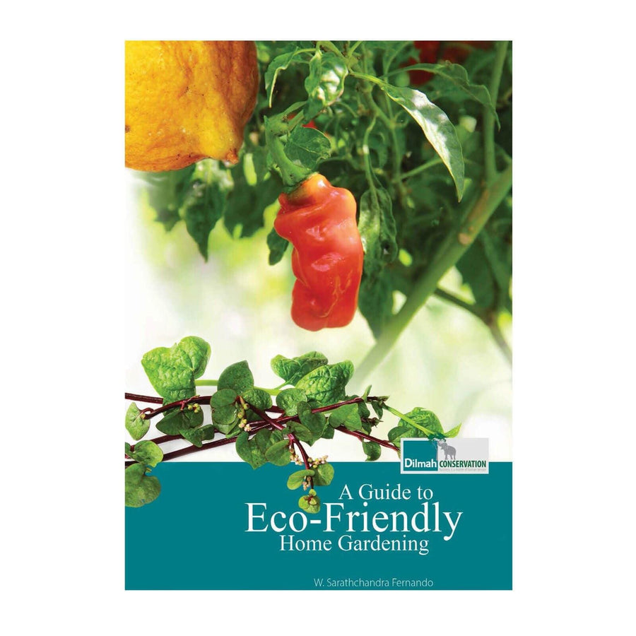 Eco-Friendly Home Gardening Guide – Sustainable Living Book