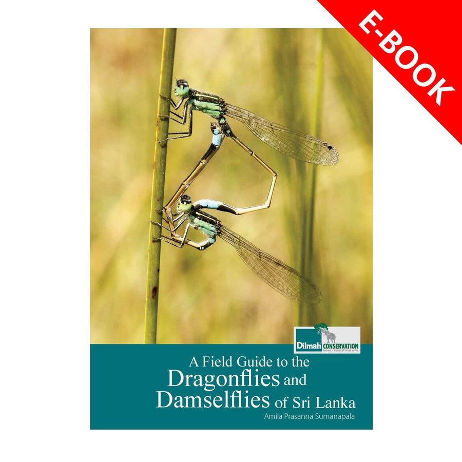 Field Guide to Dragonflies & Damselflies of Sri Lanka – eBook