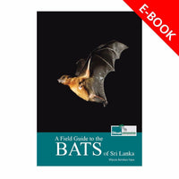 Field Guide to the Bats of Sri Lanka – Sri Lankan Wildlife eBook