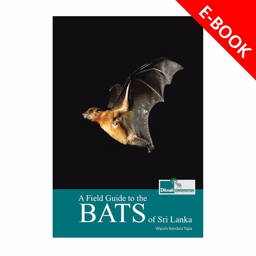 Field Guide to the Bats of Sri Lanka – Sri Lankan Wildlife eBook